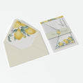 Envelope liners