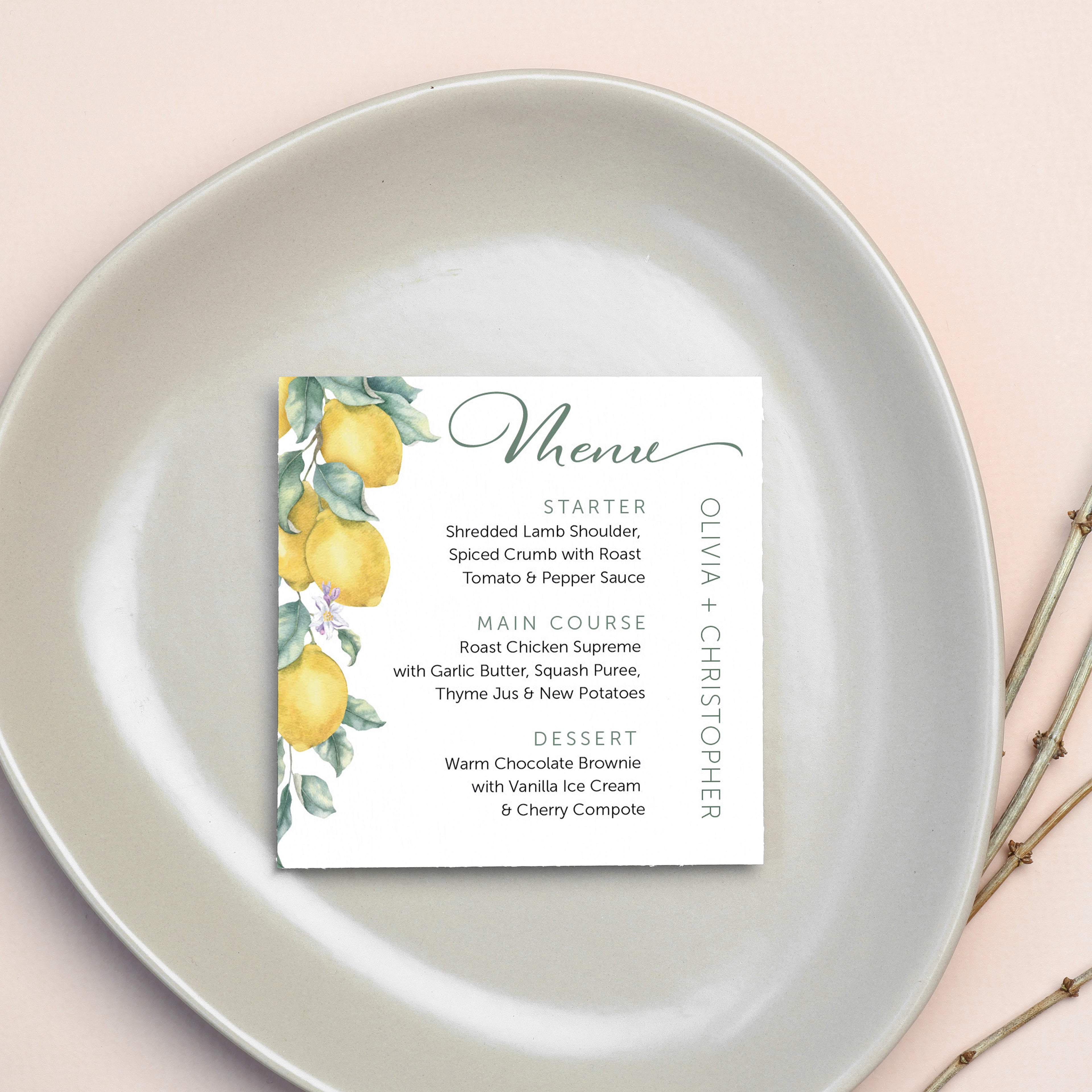 Menu Options